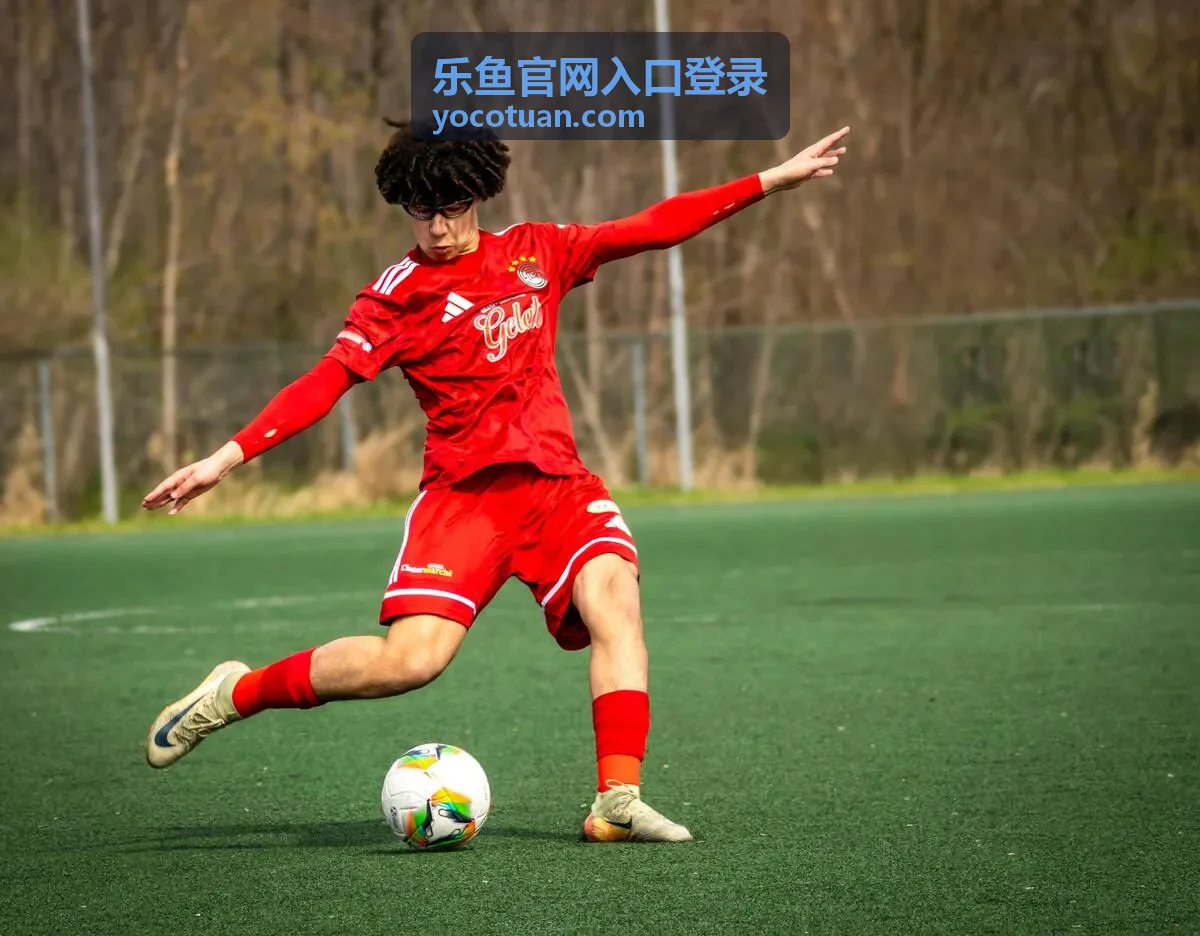 出差时通过乐鱼官网入口登录查看安全提醒