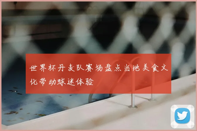 世界杯丹麦队赛场盘点当地美食文化带动球迷体验