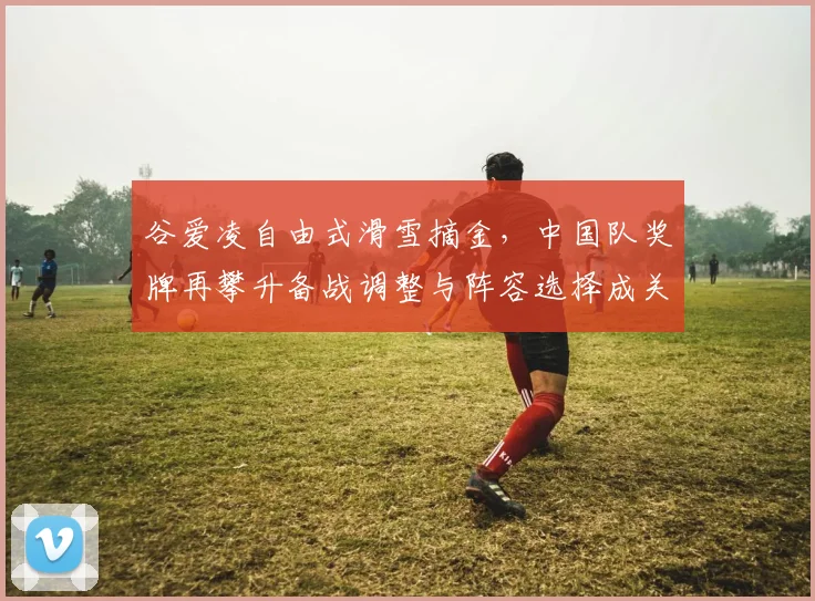 谷爱凌自由式滑雪摘金，中国队奖牌再攀升备战调整与阵容选择成关注点