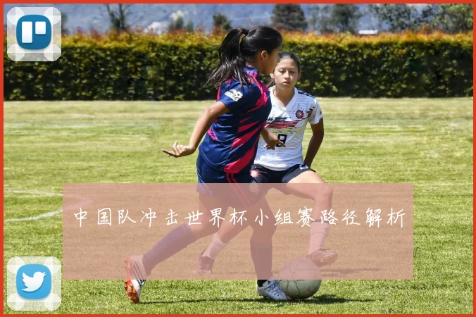 中国队冲击世界杯小组赛路径解析