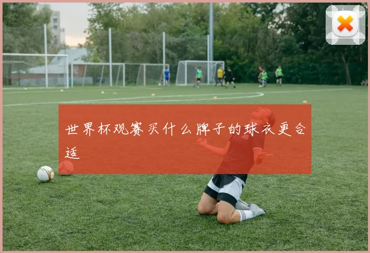 世界杯观赛买什么牌子的球衣更合适