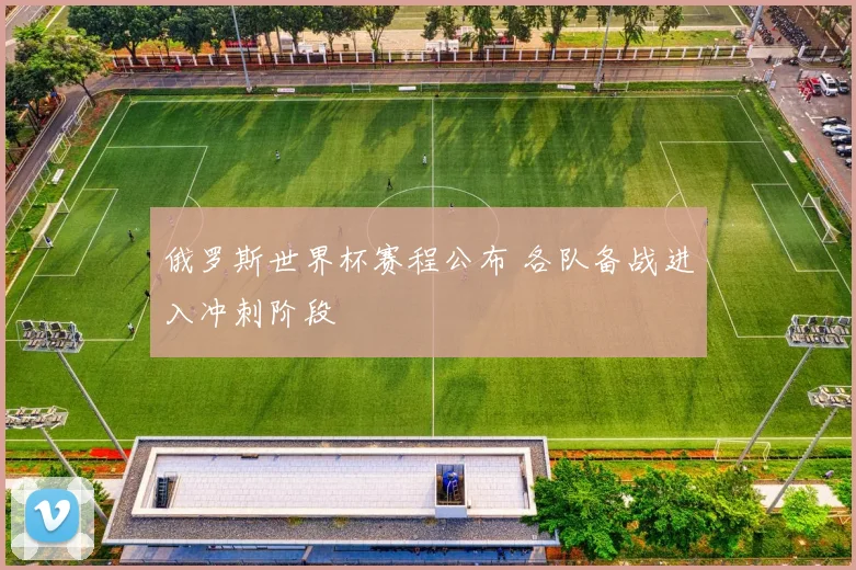 俄罗斯世界杯赛程公布 各队备战进入冲刺阶段