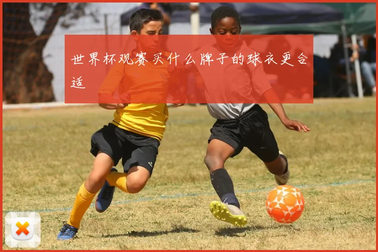 世界杯观赛买什么牌子的球衣更合适
